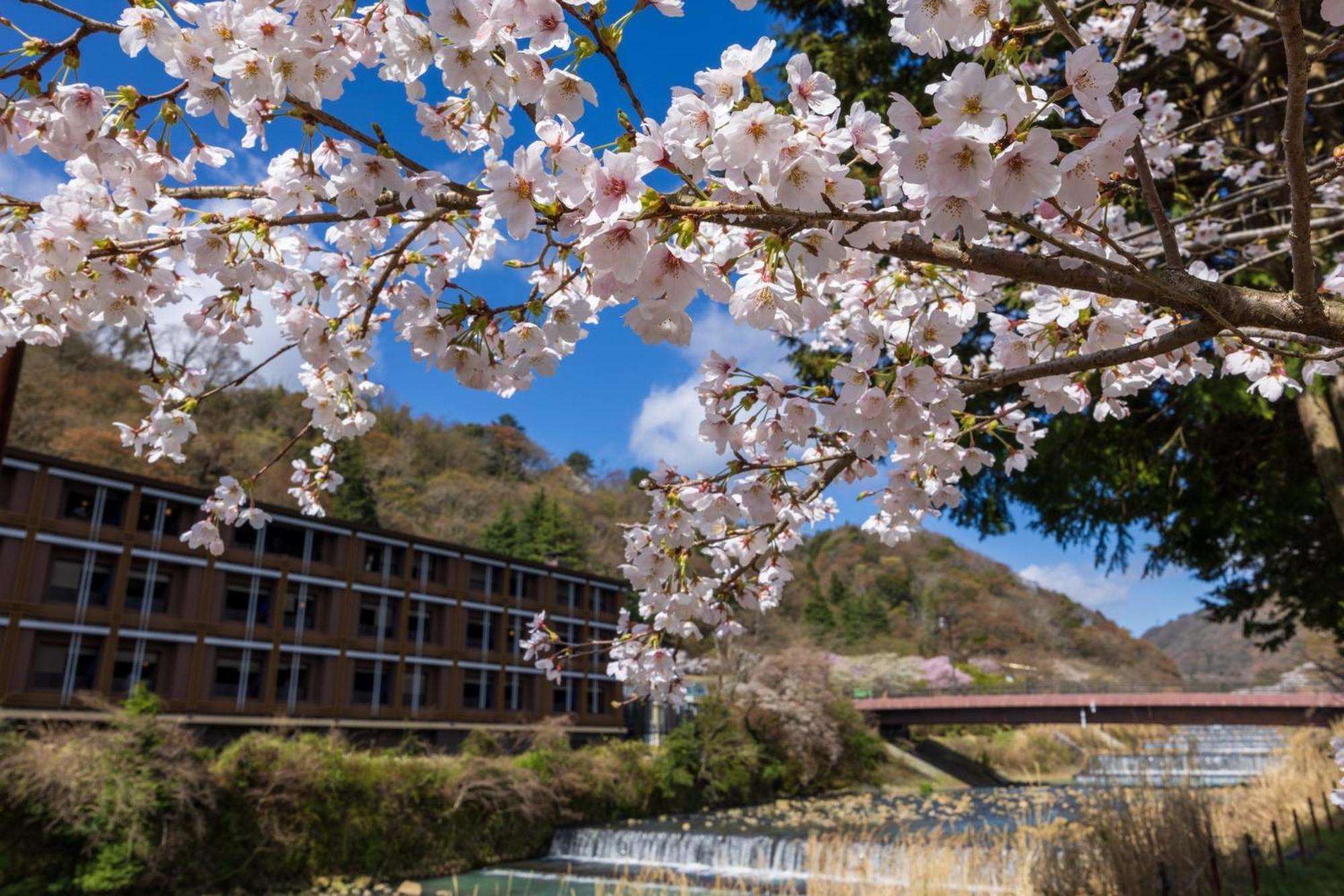 Hotel Indigo Hakone Gora By Ihg Exterior foto